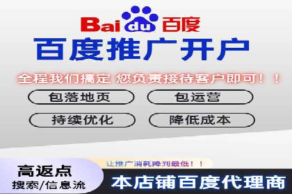 SEM竞价代运营：案例展示广告投放优化技巧